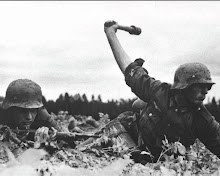 soldado aleman, en sus ultimas batallas