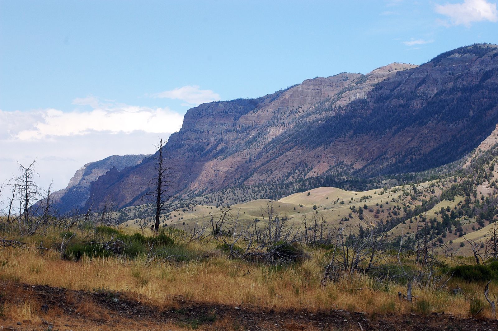 Happy Trails South Fork Road, Cody WY