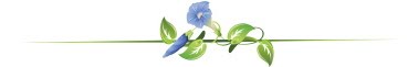 http://2.bp.blogspot.com/_wjl9FfByfaQ/S-Cd7TQupWI/AAAAAAAAAlM/suAOIvE2Zn4/s1600/ist2_4961954-floral-dividers-illustration.jpg