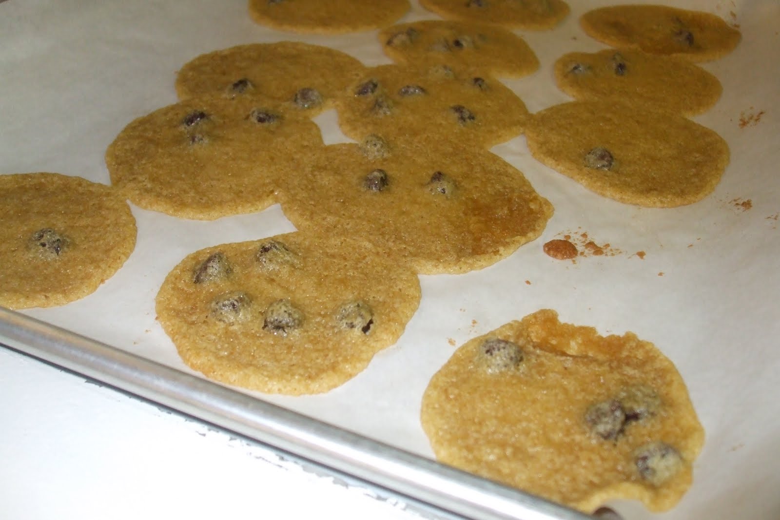 Gluten Free in Utah Rice Flour Cookies Experiment