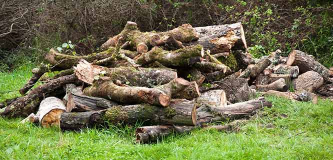 [IMG_0122-lo-res.JPG]