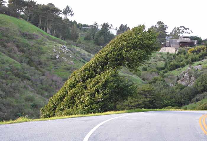 [IMG_0368-lo-res.jpg]