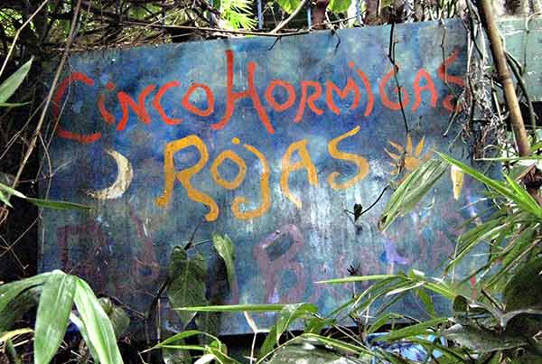 [IMG_0822-lo-res.jpg]