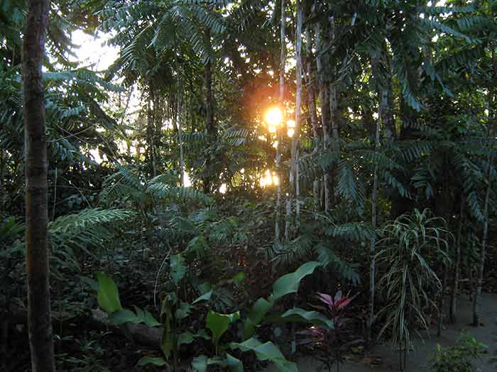 [IMG_1177-lo-res.jpg]