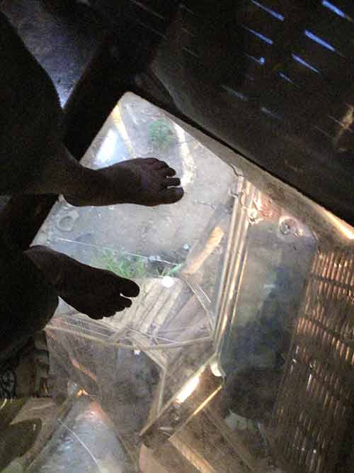 [IMG_2655-lo-res.jpg]