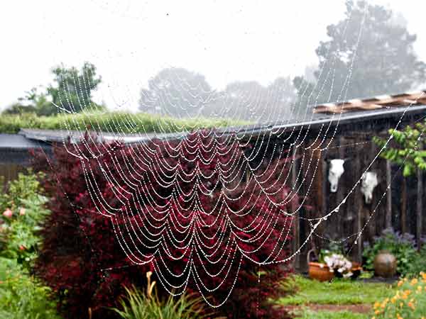 [IMG_3097-lo-res.jpg]