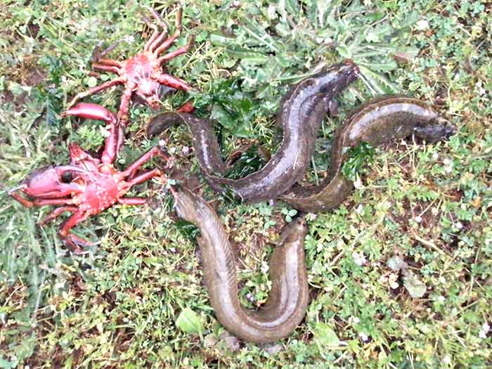 [P6093010-lo-res.jpg]