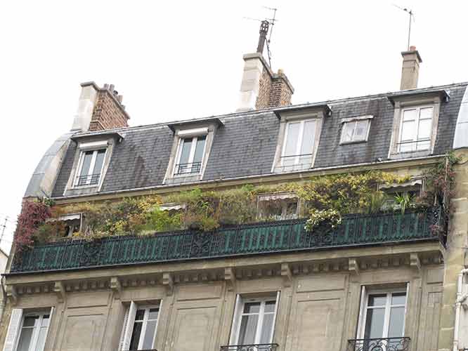 [IMG_7857-lo-res.jpg]