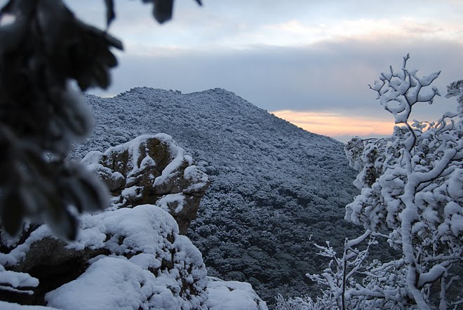 Montalt nevat
