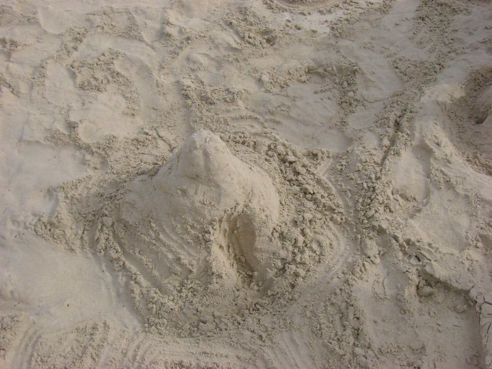 [sand+castel.JPG]