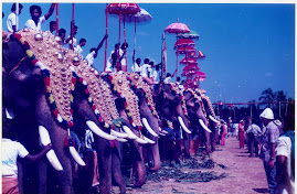 Thrissur Pooram