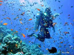 Alatan Scuba diving