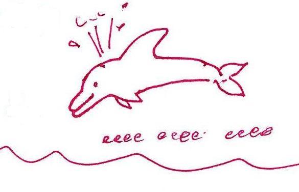 [dolphin.jpg]