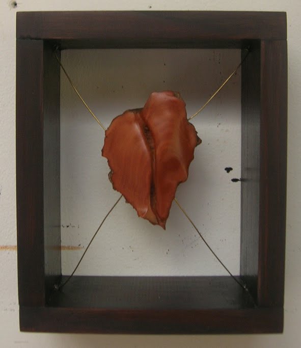 Las fisuras de mi corazón