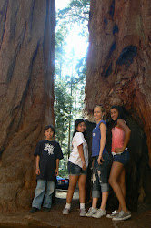 The loves of my life in Sequoia