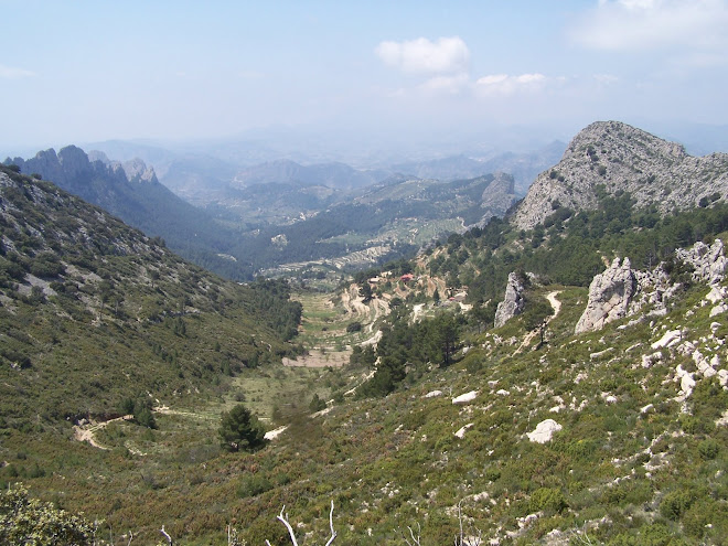 Las faldas de los montes