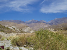 La serrania del Aconquija