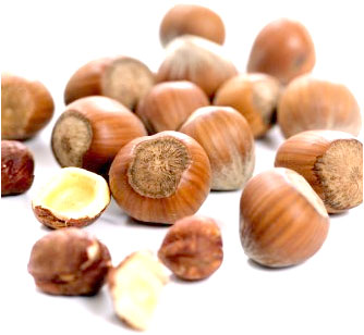 [hazelnut.jpg]