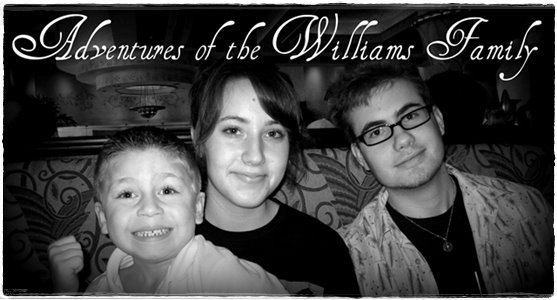 The Adventures of The Williams Family