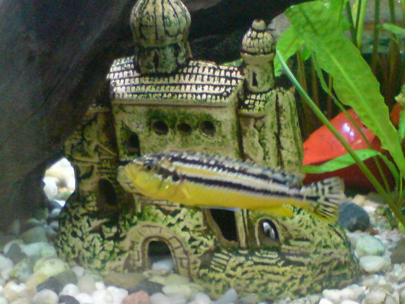 [image-upload-3-792977.jpg]