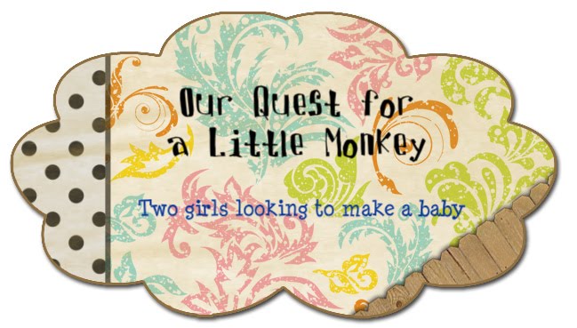 Our Quest for a Little Monkey