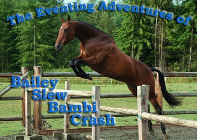 The Eventing Adventures of BaileySlewBambiCrash