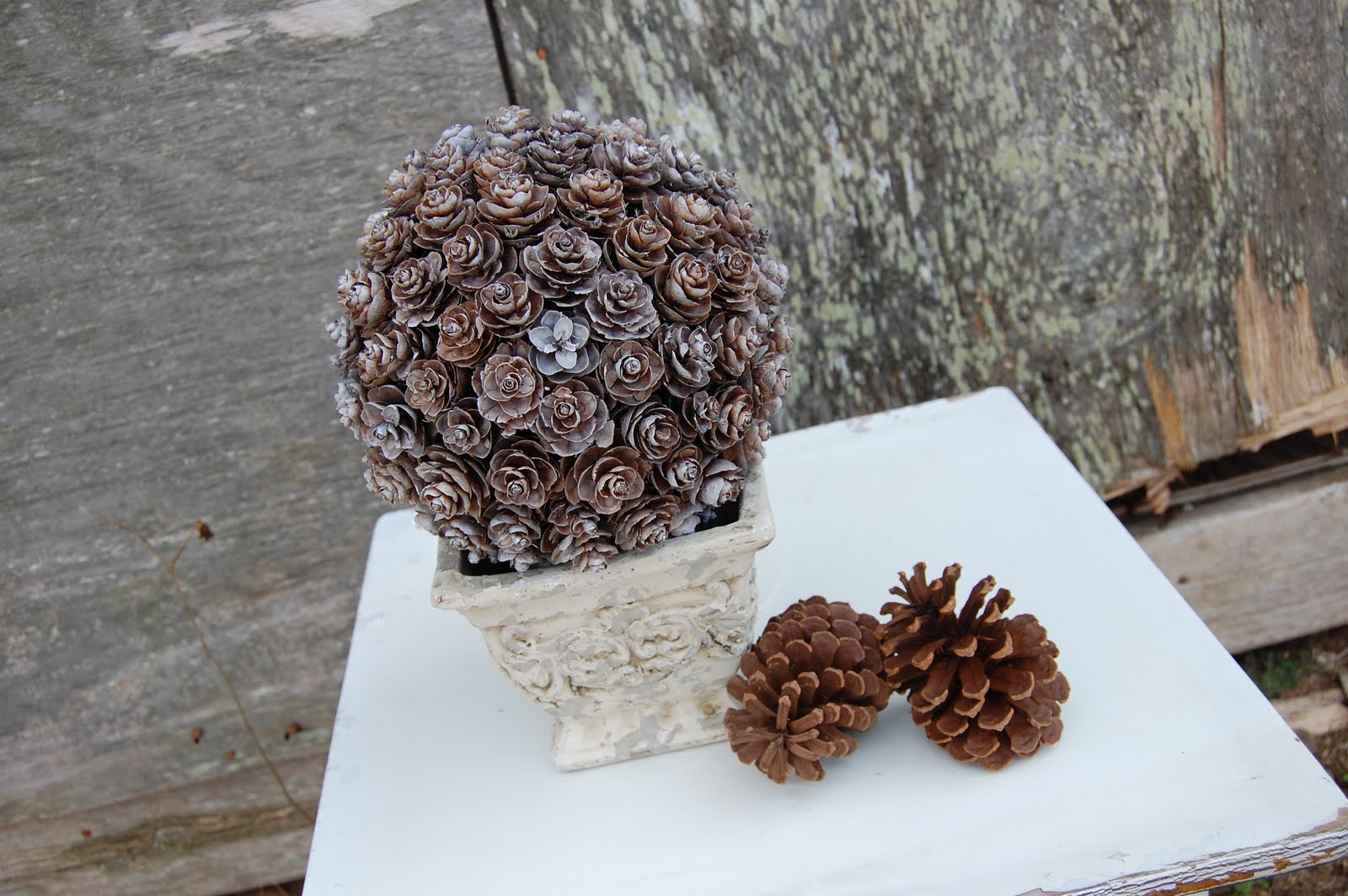 Pine Cone Topiary - Somewhat Simple