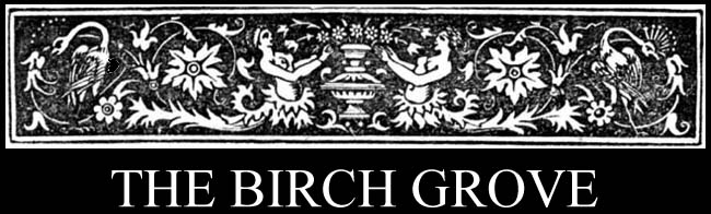 The Birch Grove