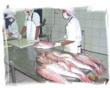 Feshness of material is our concern