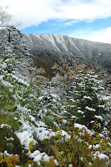 雪山景致