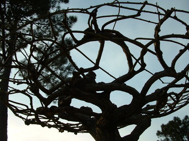 [2003_0304_191008AA.JPG]