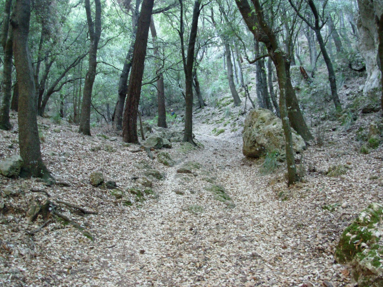 Pasión por la Serra de Tramuntana: Comuna de Bunyola y Cova de s'Aigo 1