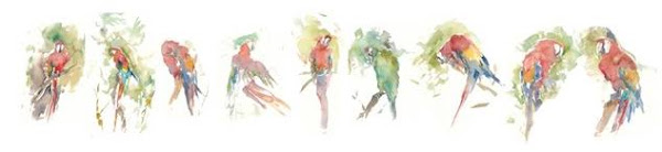 Parrots by D. Boyce