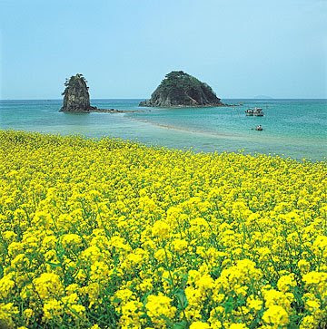 jeju