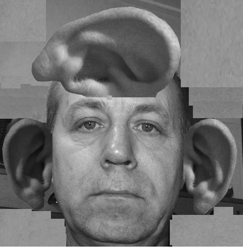 Gafpa Arts & Words Monster with 3 ears