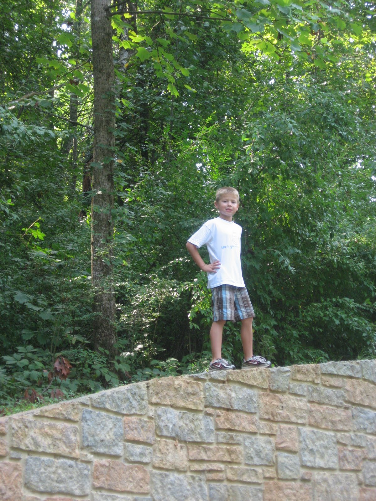 Greenways & Other Summer Fun Greenways House Creek Trail