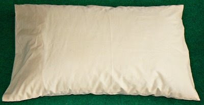 bantal.JPG