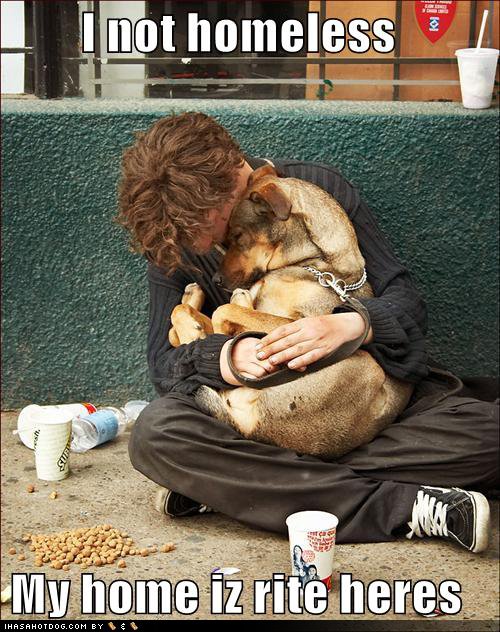 [funny-dog-pictures-homeless-hug.jpg]
