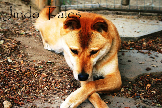 Jindo Tales