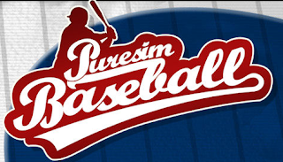 puresim baseball 2, video, game, cover, image, poster,system, requirements