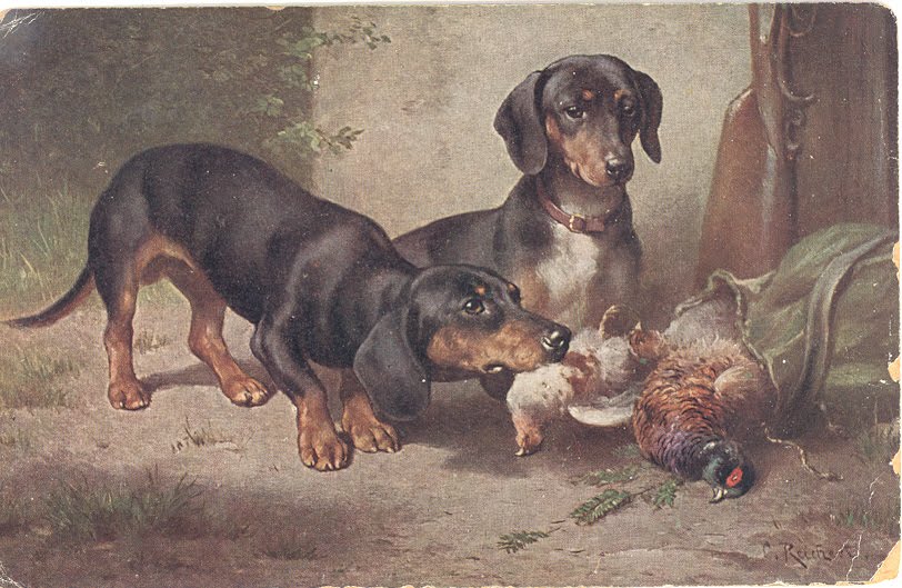 delightful dachshunds What is the history of dachshunds?