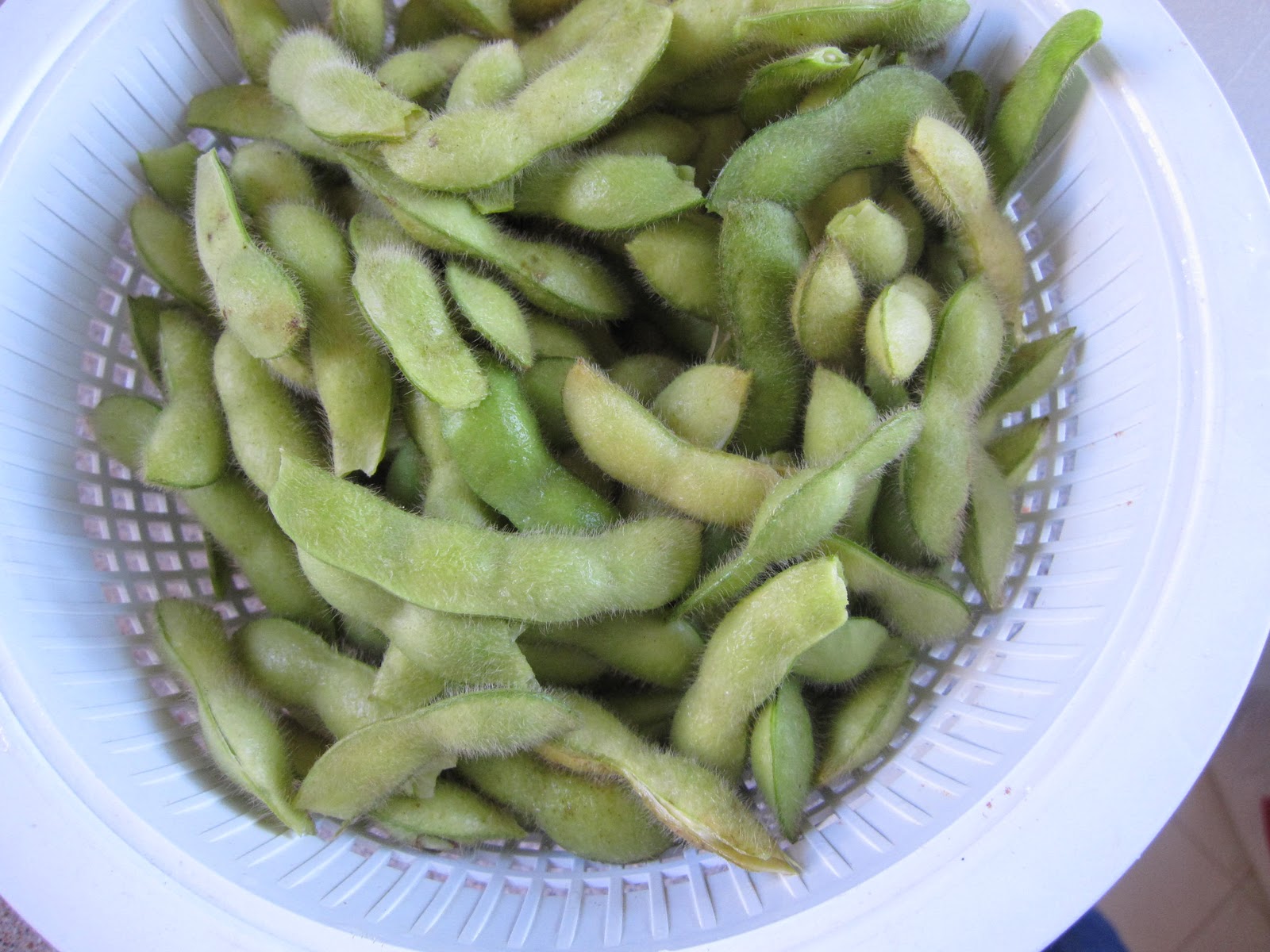 The Scratch Patch Fresh Edamame