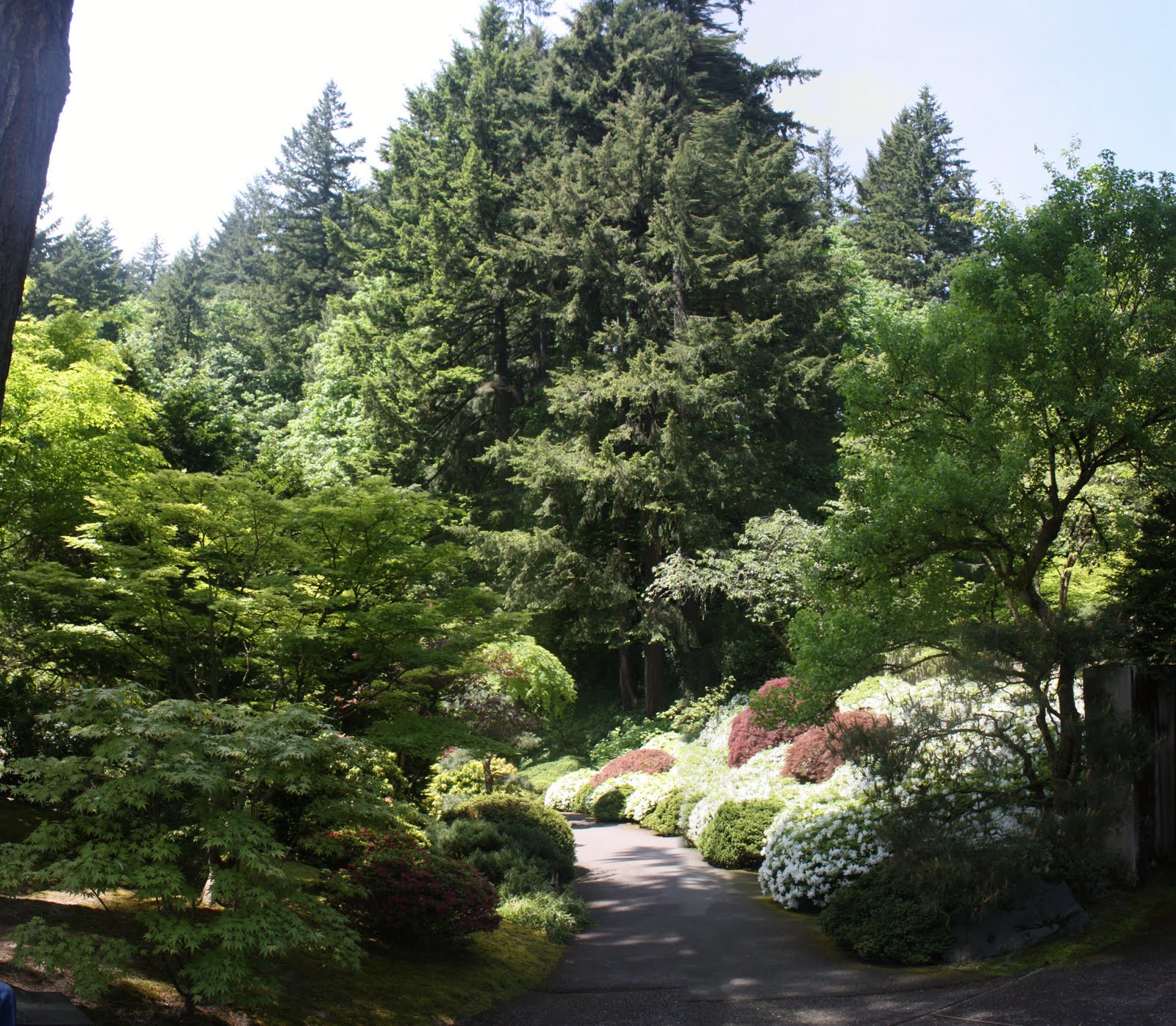 Brevity is the Soul of Witlessness