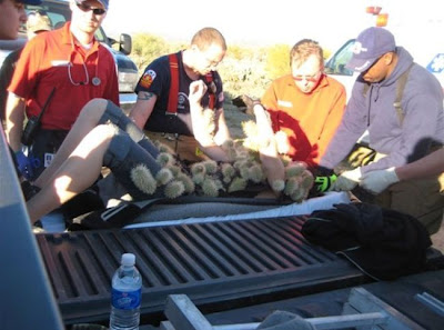 抄完一浪接一浪