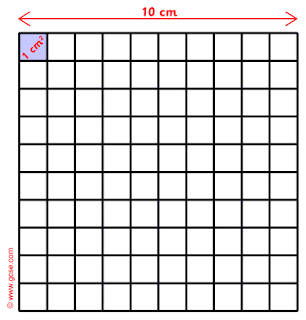 Escritores de Palmo e Meio: Áreas - 100 cm2 ou 1 dm2