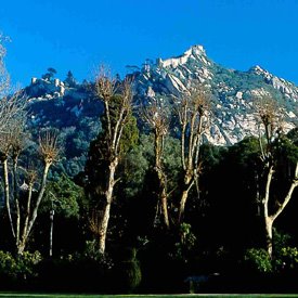 [03SERRASINTRAINTRUICUNHA.jpg]