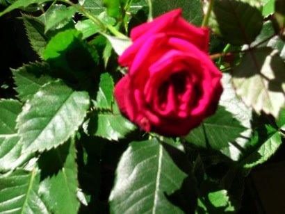 [page0_blog_entry200_1.jpg]