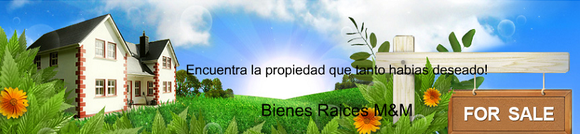Bienes Raices