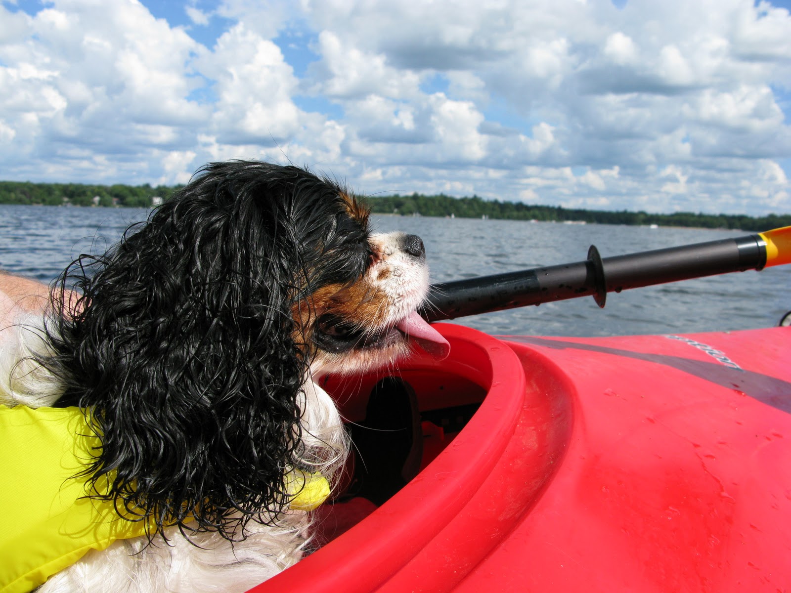 Legal History Blog: December 2010