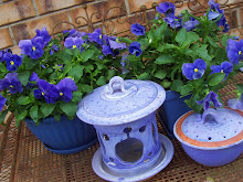 Pots of Blue pansies